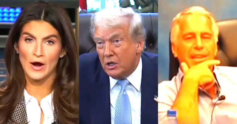 Кейтлан Коллинз из CNN ударил Трампа кучей квитанций по поводу утверждения, что друзья Эпштейна были «всеми демократами»