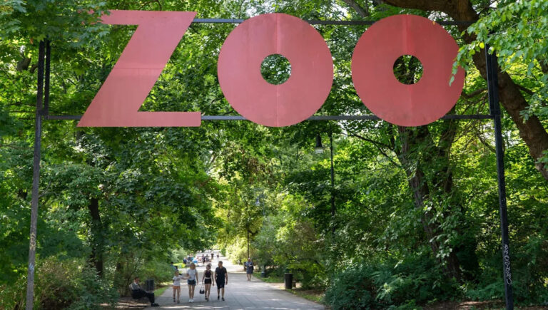 Американский зоопарк празднует рождение существа, которое когда-то считалось мифом: «Это веха».