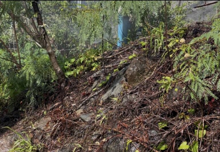 Спринклеры работают без остановок в Гавайи Кай, поскольку Оаху призвал сократить использование воды