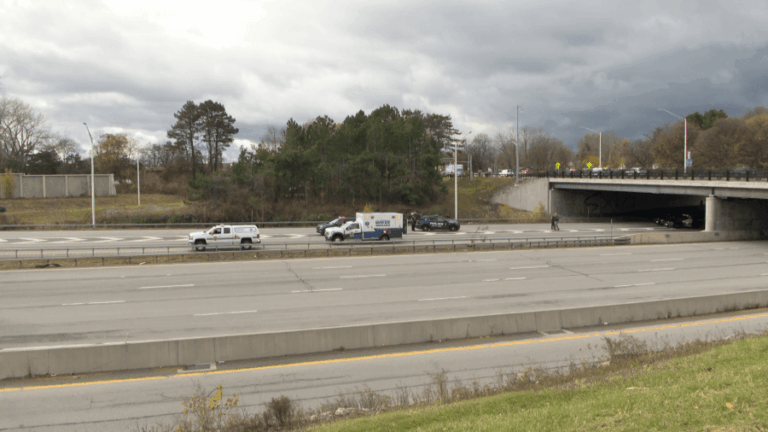 Подозреваемый в краже магазинов погиб на И-390 после бегства из Гейтс-Алди