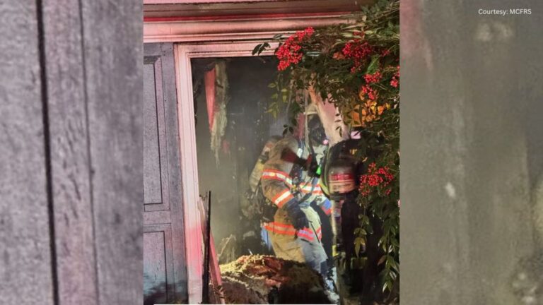 2 собаки и кошка погибли при пожаре в доме Бетесды