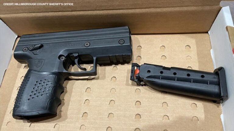 14-летний мужчина получил обвинение после того, как привез пистолет в среднюю школу города Плант