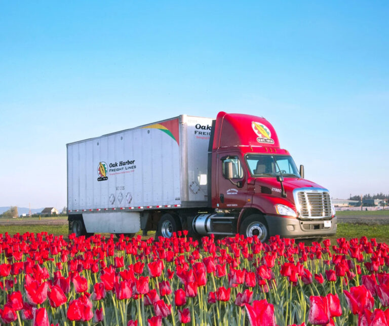 17 лет спустя местные жители получат выплаты в благотворительный фонд