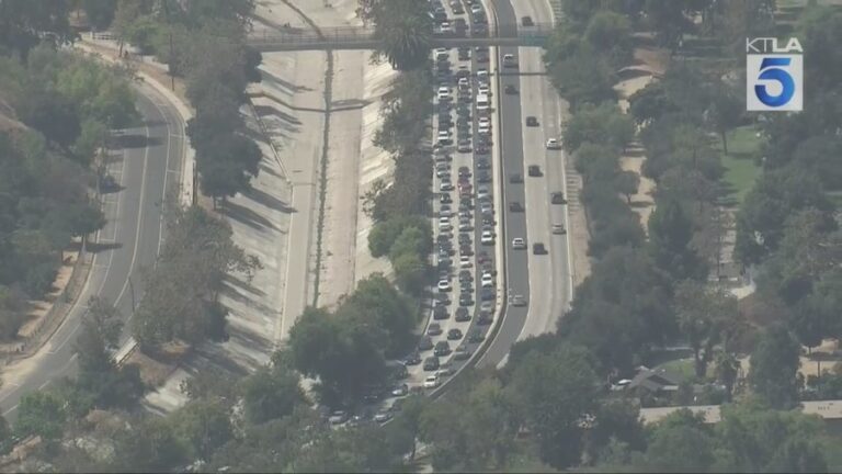 110 Fwy jam после смерти прыгуна