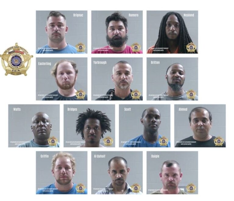 13 мужчин обвиняются в расследовании преступлений на сексуальной почве среди детей в Интернете, говорит шериф Ливингстона