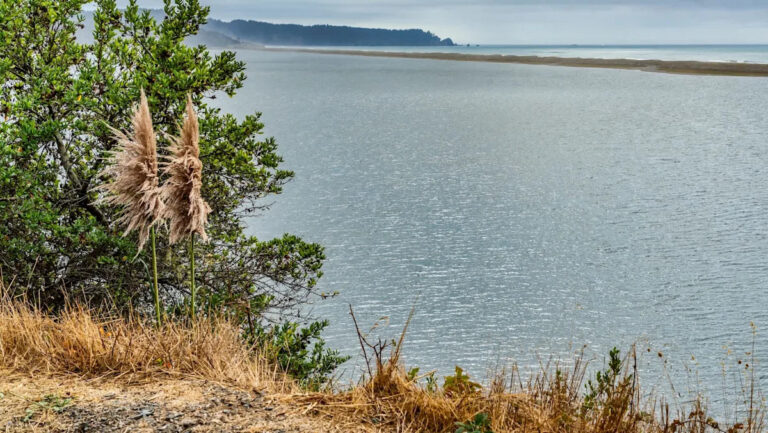 Исследователи делятся видеозаписью об удивительных открытиях на важном водном пути США: «Мы были особенно взволнованы»