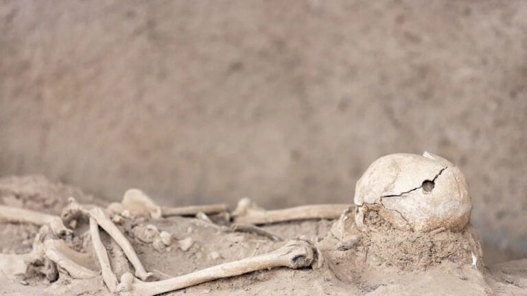 Археологи обнаружили 2300-летний инструмент, который треснул черепа