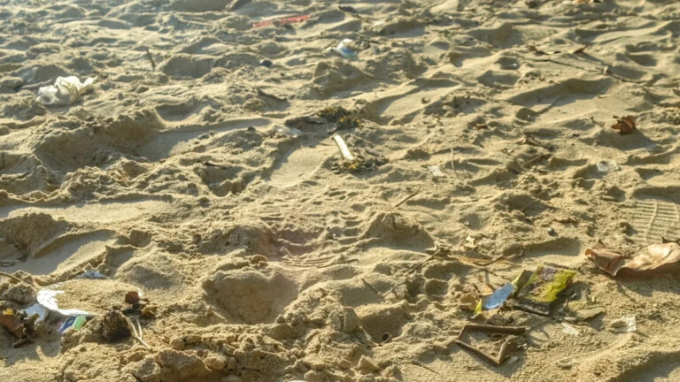 Пляжник выражает обеспокоенность фотографией найденного в песке предмета, которому уже несколько десятилетий: «Очень грустно»