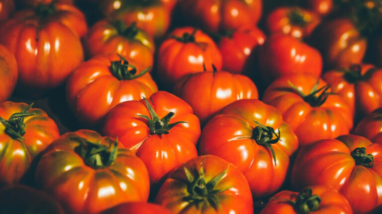 Американский штат, производящий больше всего помидоров, не является штатом Флорида или Индиана.