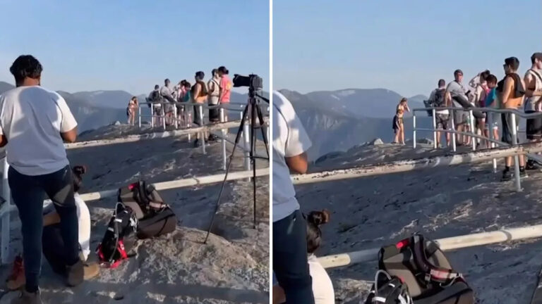 Толпа возмущена «безответственным» решением матери с маленькими детьми в национальном парке: «Почему она это сделала?!»