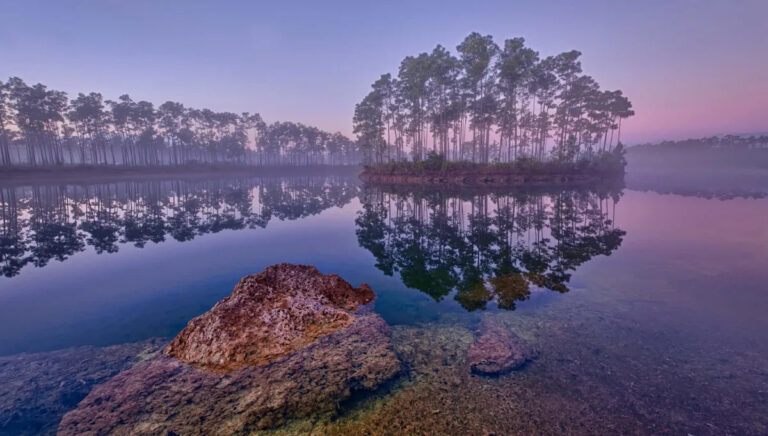 Пассажирка делится кадрами о неприятном наблюдении во Флориде Эверглейдс: «Невероятная нехватка инстинктов выживания»