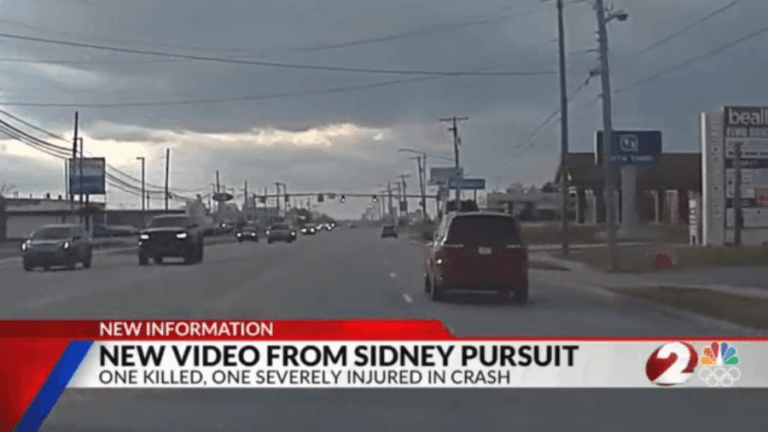 Столкновение с стаей приводит к смертельному преследованию полиции в Сиднее