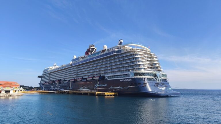 Более 50 пассажиров круиза спасены после того, как лодка затонула