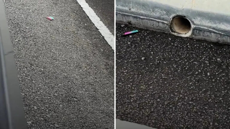 Водитель поделился видео тревожного наблюдения вдоль проезжей части вблизи международной границы: «Я не думал, что это было реально».