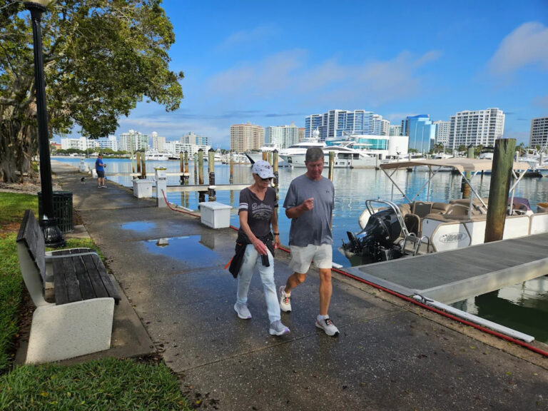 От 82 до 42: сарасота скобки для 40-градусного перепада температуры