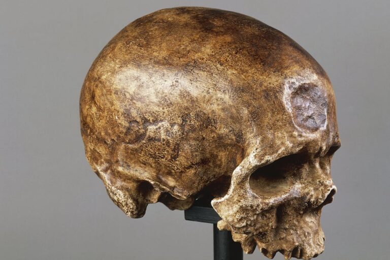 Как эволюционировали люди, и будем ли мы развиваться дальше?