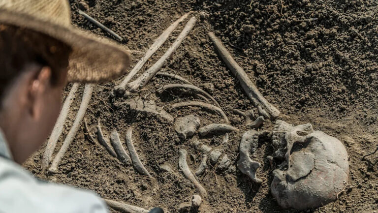 Ученые проанализировали останки 8500-летних и обнаружили потерянное население