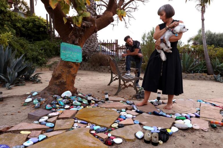 За его улыбкой тихий кризис: родители ищут ответы после самоубийства сына-аутиста