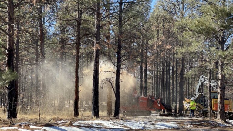 Сенатор-демократ Лужан представил три законопроекта, связанных с лесными пожарами
