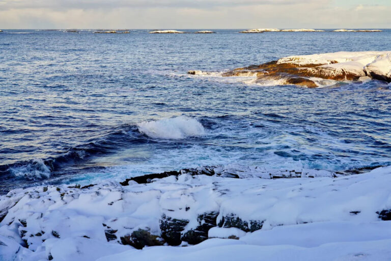 Ученые бьют тревогу по поводу быстро возникающей угрозы за тысячи километров — вот что вам нужно знать