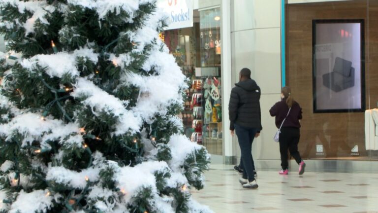 Шерифы округа Онтарио повышают безопасность в торговом центре Eastview в преддверии праздников