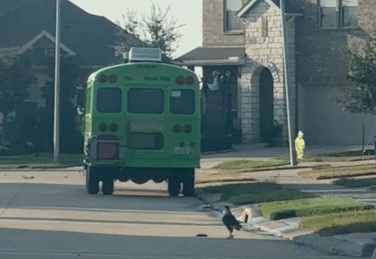 Крысиные заражения, наводнившие подразделение Jordan Ranch в Кэти, вызвали «кризис общественного здравоохранения»