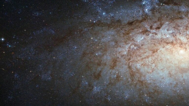 Наблюдение сверхновой: ученые впервые увидели раннюю стадию