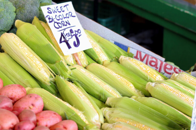 Растущее число местных предприятий по производству продуктов питания в Айове приближается к 1500, говорится в докладе.