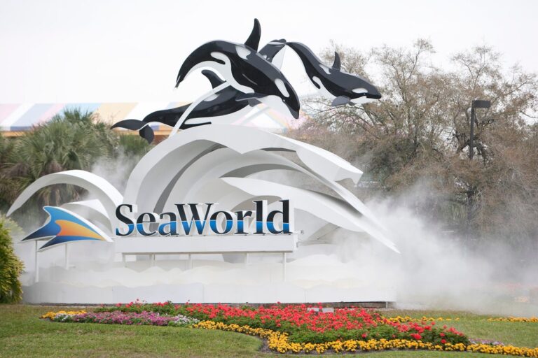 SeaWorld и другие парки Орландо находятся под федеральным расследованием за запрет на прогулочные средства