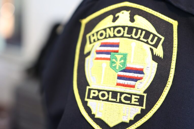 Полиция опубликовала новые подробности убийства Халавы и стрельбы в Нанакули