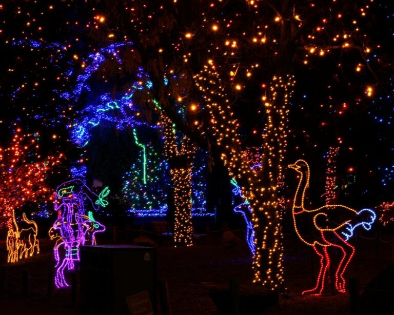 Локальные световые дисплеи номинированы на лучшую награду США за сегодняшний день: как голосовать