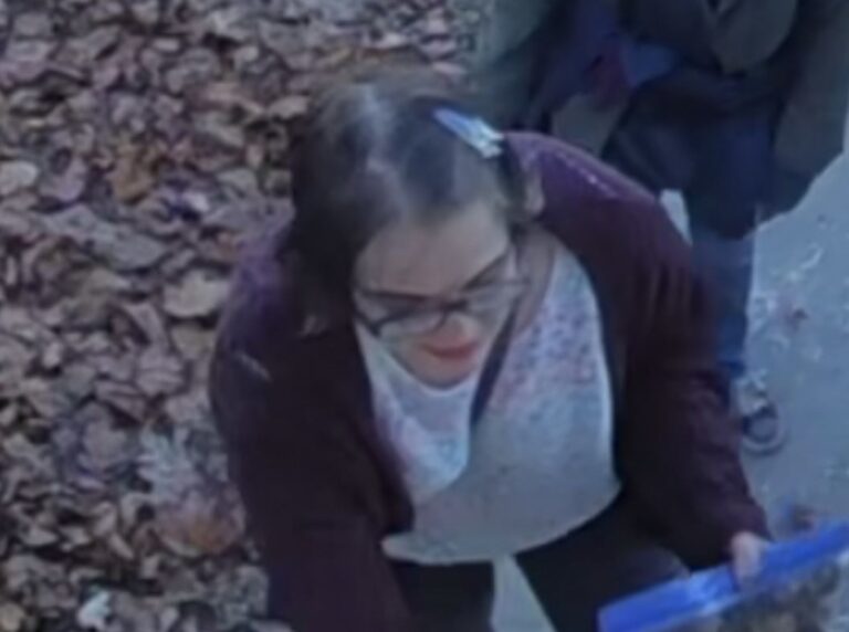 Злоумышленник «Slender Man» найден на стоянке грузовика в Иллинойсе после побега из дома группы в Висконсине