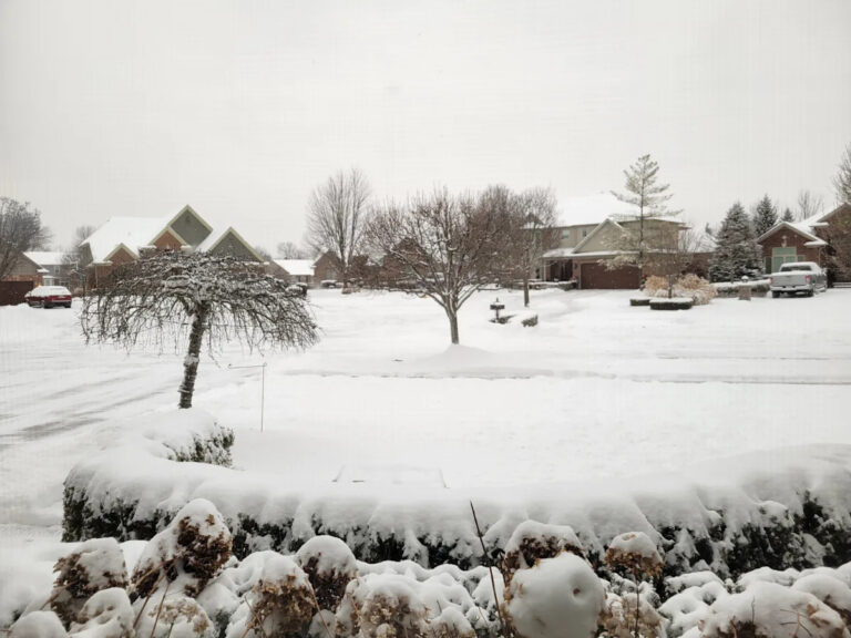 2 снежных поединка, нацеленных на Мичиган.