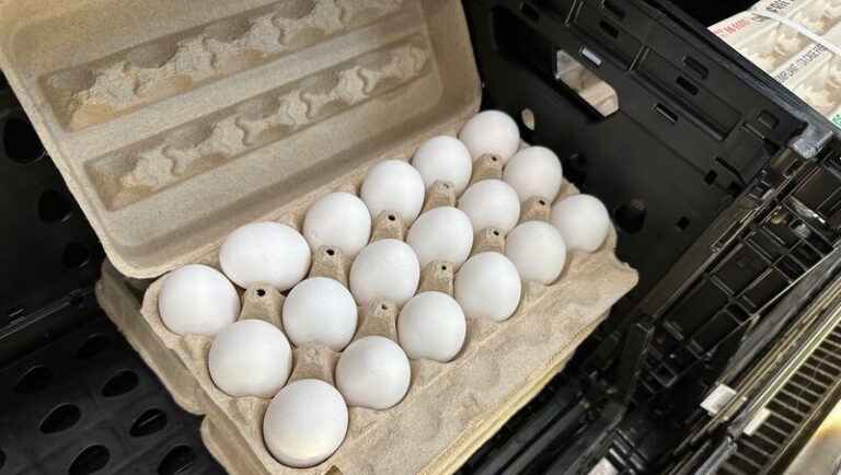 Яйца не злодей в саге о высоком холестерине: исследование