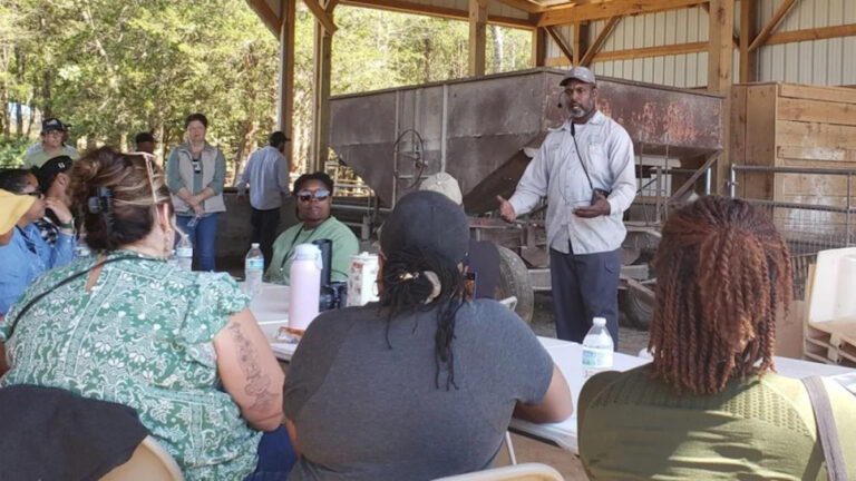 Что нужно, чтобы сохранить фермы под черным руководством
