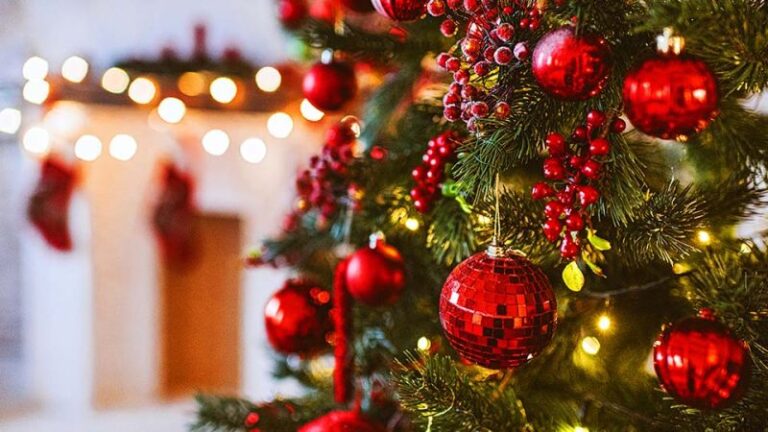 Рождественские каникулы в Майами 2025