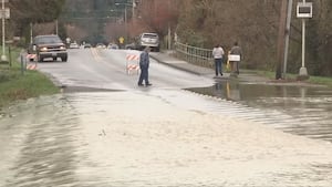 Исторические наводнения: округ Скагит — нужно знать