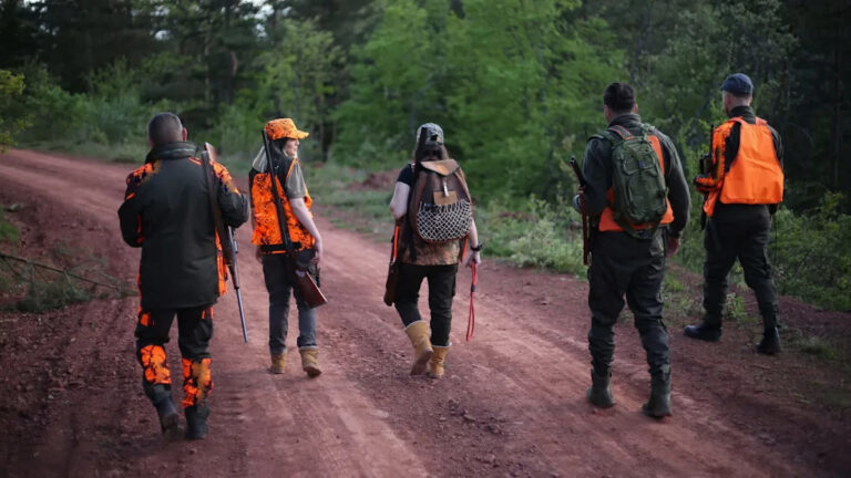 Американские чиновники внесли чрезвычайные изменения в законы об охоте: «Долгое время»