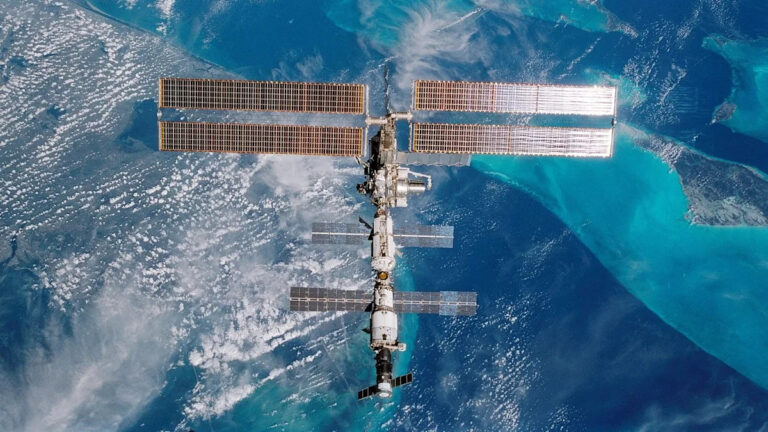 Ученые вырастили мох на внешней стороне МКС в течение нескольких месяцев — вот что произошло