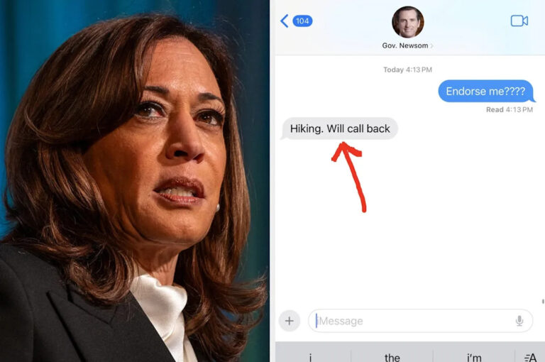 Люди теряют его из-за этого текстового сообщения, отправленного Гэвином Ньюсом Камале Харрис.