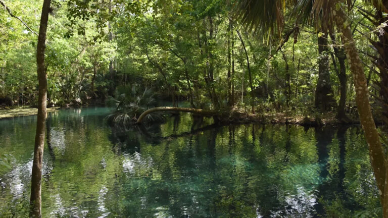 Человек делится «разбивающим сердце» видео после того, как толпы отдыхающих наносят ущерб любимому месту природы: «Это был только вопрос времени»