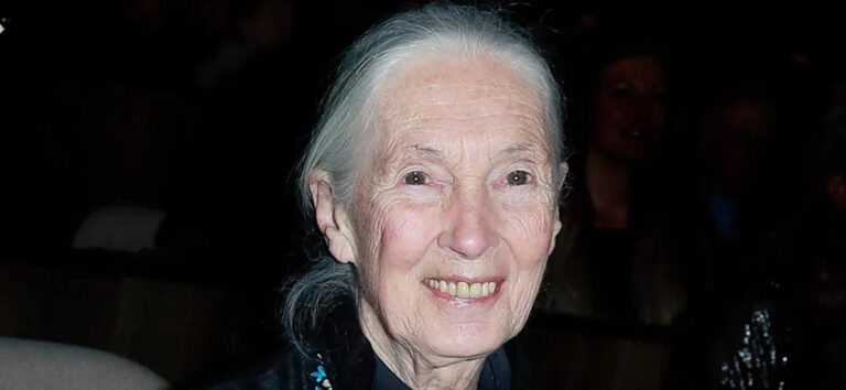 Раскрыта причина смерти иконы Джейн Гудолл