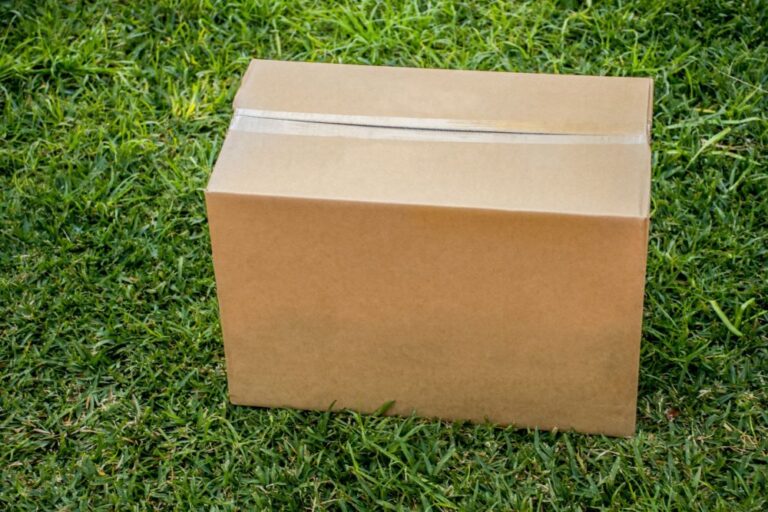 Собака-гукер ошеломлена после открытия заброшенной коробки возле школы: «Наверное, самое странное, что мы видели»