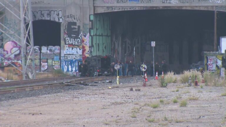 Полиция Лос-Анджелеса вступает в утреннее противостояние с вооруженным подозреваемым