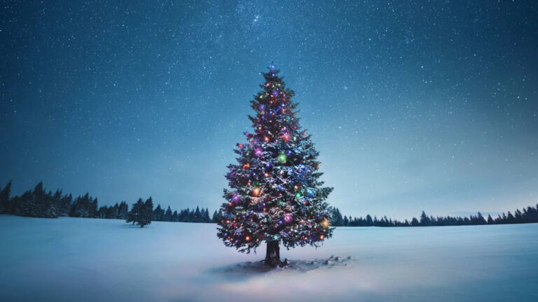 Рождественский путеводитель по наблюдению за небом 2025 года: что можно увидеть в ночном небе 25 декабря