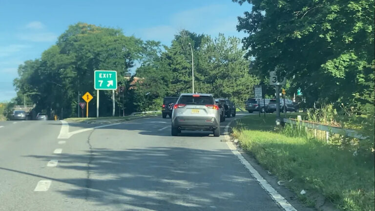 Жертва убийства в Кросс Каунти Паркуэй идентифицирована как социальный влиятельный человек Ариэла Ла Лангоста