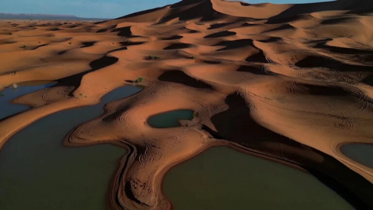 Более влажная и зеленая Сахара может изменить глобальную погоду, особенно сезон ураганов