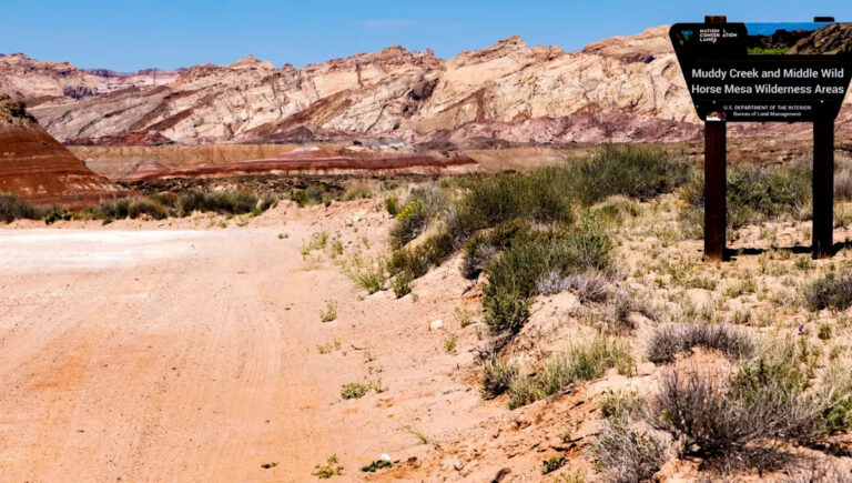 Горный байкер поделился видео об открытии на местной трассе: «Это возмутительно»