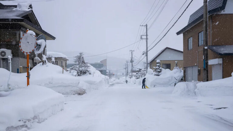 Полярный вихрь движется в этом направлении: вот что это значит для погоды