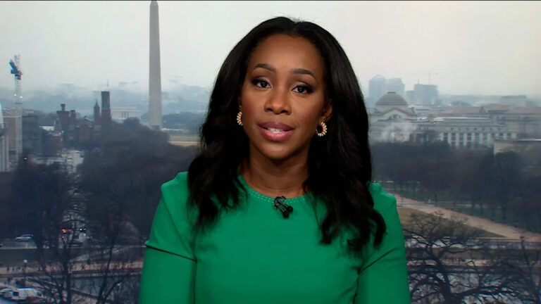 Ведущий CNN защищает разрешение гостям MAGA «смущаться»